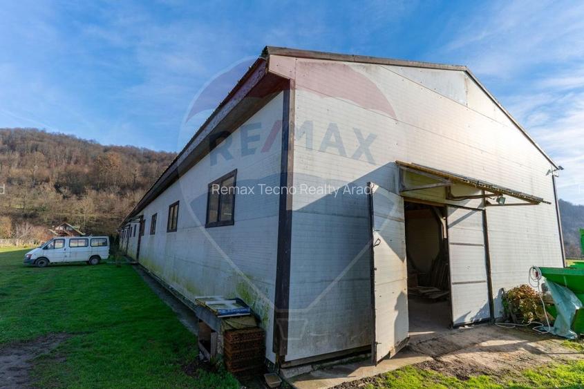 Hala de productie Ribita, jud. Hunedoara - 3