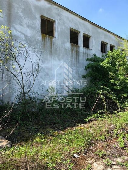 Teren 8000 mp  cu hala de 700 mp - 5