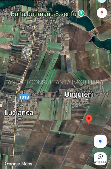 Vanzare 2500 mp, sau 5000 mp sau 7500 mp teren in Butimanu cu pret negociabil - 6