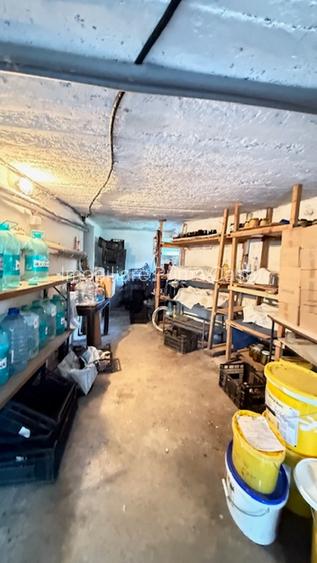 BAIA SPRIE - spre Cavnic Vila D+P+E 168mp + anexa cu teren 1526mp! - 24