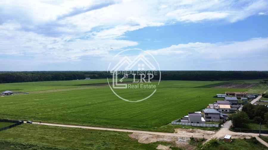 OPORTUNITATE INVESTIȚIE:Teren intravilan 25.000mp Dascălu-Pădure, parcelabil - 5