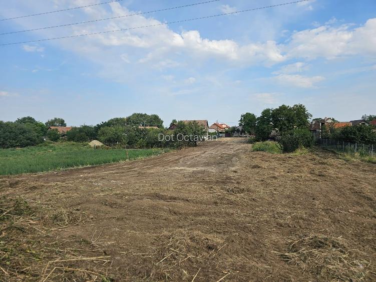 Teren Intravilan Dudestii Noi 2878  MP - str. Viilor nr. 47 - 3