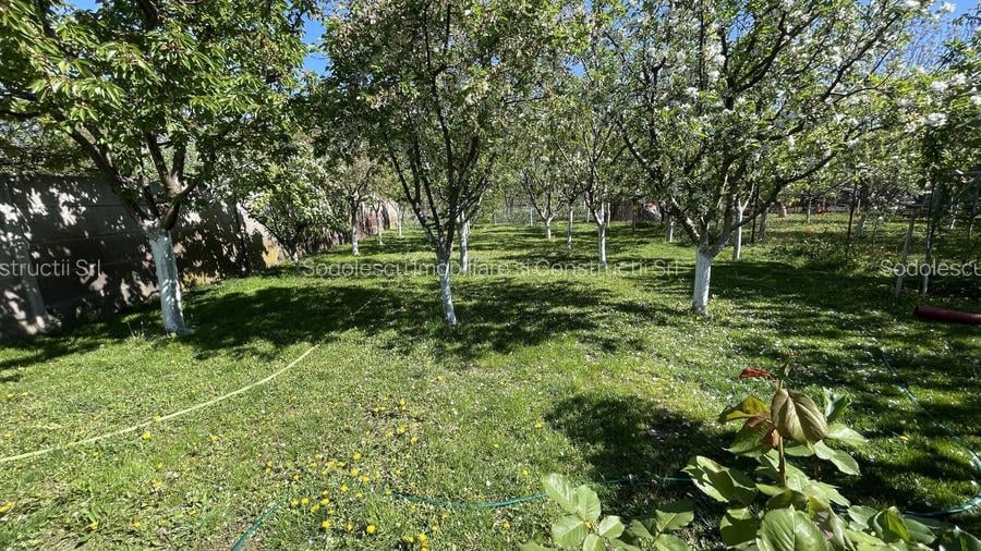 Casa cu teren frumos si garaj zona Mehala - 21