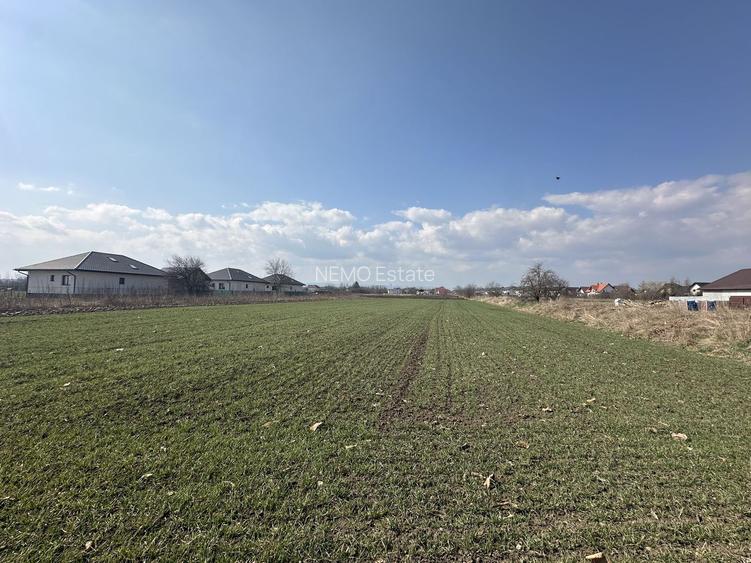 Teren intravilan 20 ari | Rădăuți | Front stradal 19.49 m - 3