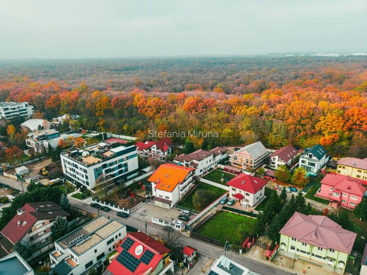 Vilă cu teren generos de 1.775 mp – Voluntari–Pipera, la liziera pădurii - 4