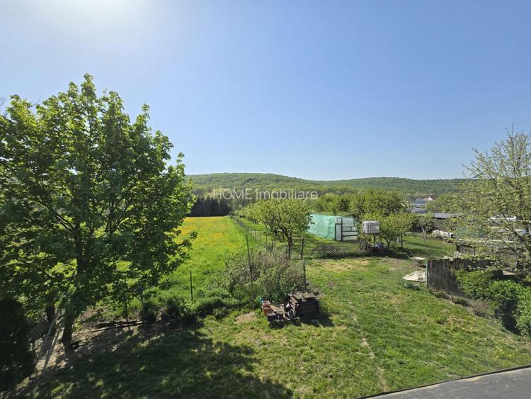 Casa spatioasa Traian - 5