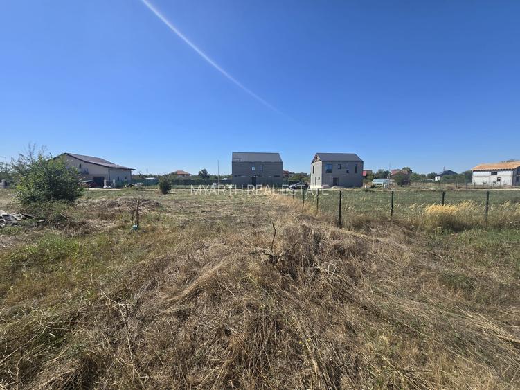 Gulia, Tartasesti, Eden Forest Residence,Samurcasi - 2