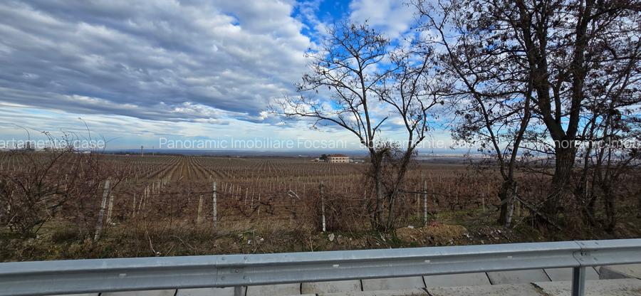 Casa de vacanta la vanzare   Beciu -Odobesti - 26