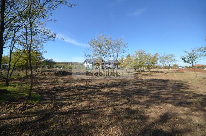 Snagov Ciofliceni Mânastire- Teren 1432 Mp, D 60 M, Curent Gaze Asfalt - 9