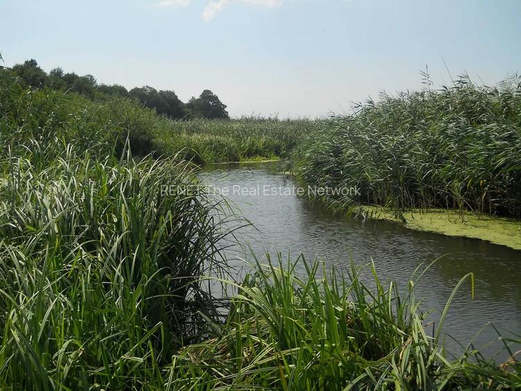 Vând loturi de 527 si 635 mp lângă Delta Neajlovului la cel mai bun preț - 8