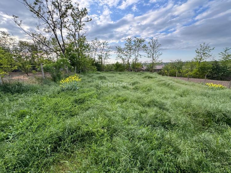 Casa  (30 min de Bucuresti) în Tamadau (lângă lacul Mostistea) cu teren 850 m - 2