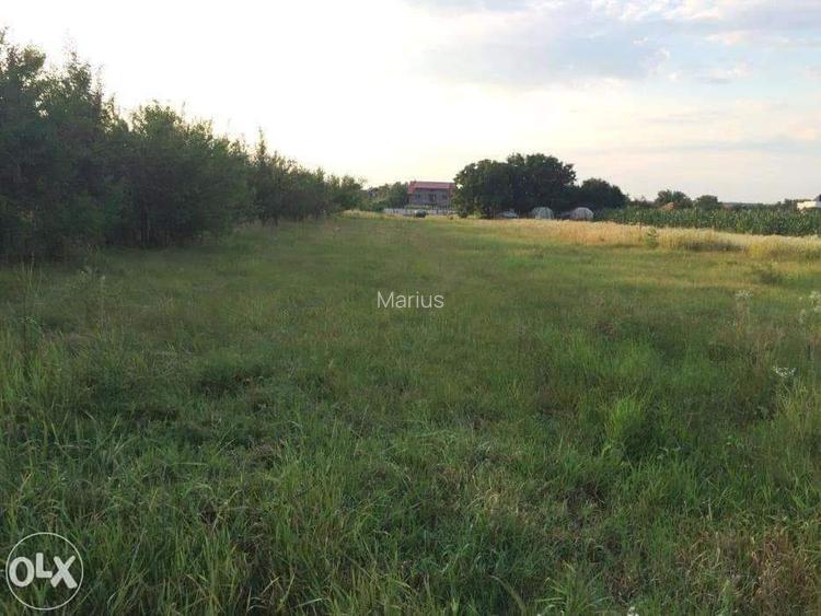 Teren Ghermanesti-Ciofliceni, in com. Snagov, strada Stefanita Voda. Negociabil - 4