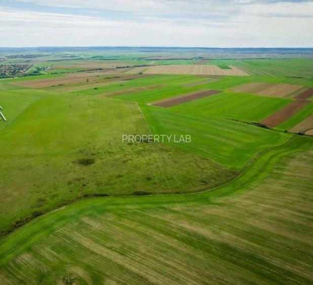 Teren agricol 5ha Giarmata langa Antena Radar - 4
