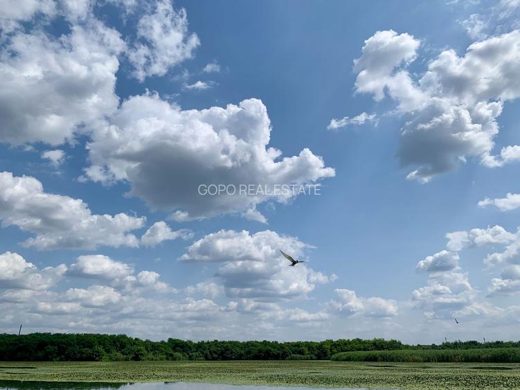 Teren Crevedia 45000 mp - 6