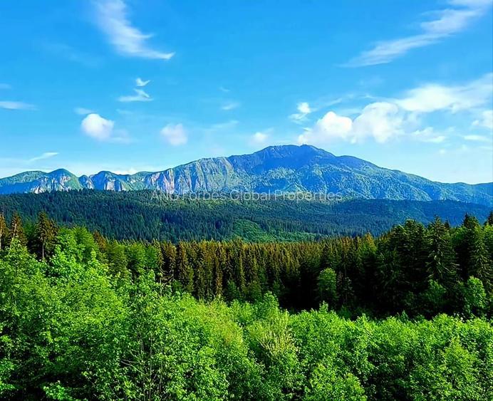 Aparthotel cu view superb Valea Prahovei - 2
