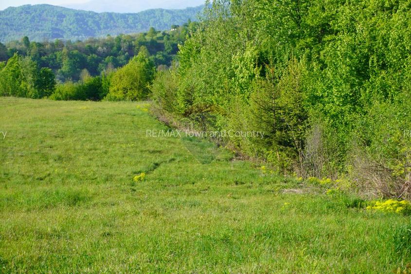 Teren 38,592mp Sighetu Marmatiei / Strada Mocăniței - 26