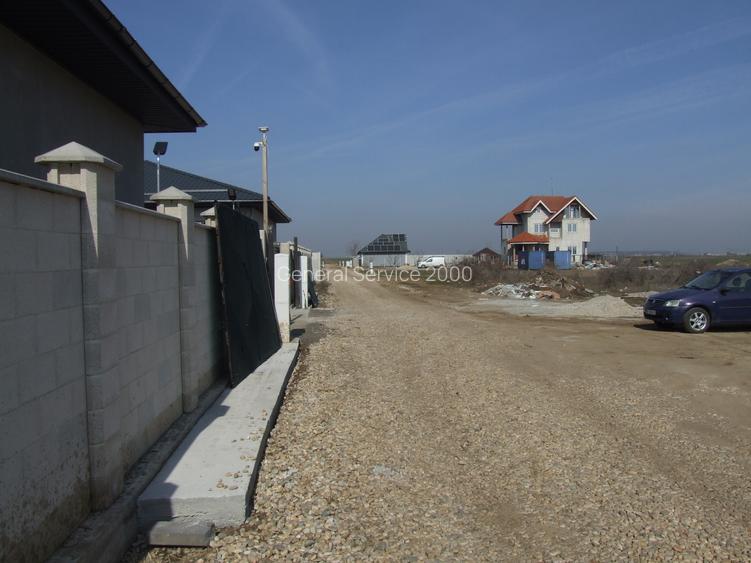 Domnesti-Ciocarliei, Afinului - 4