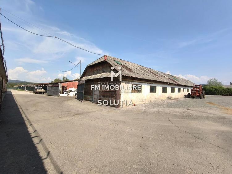 Complex industrial  cu teren 18,672 mp Târgu Lăpuș - 6