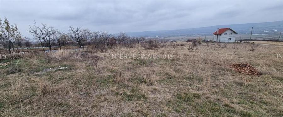 Teren Intravilan Alba Iulia Zona Coasta Curata - 3
