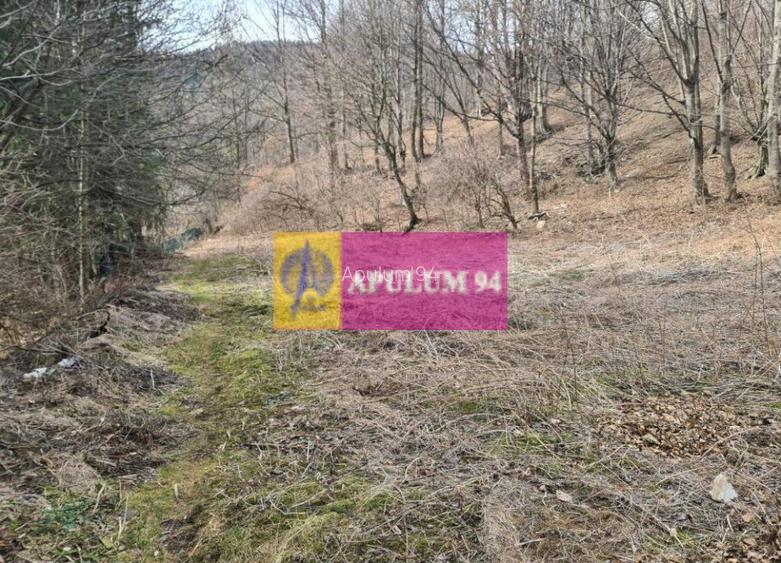 Teren de vânzare în Sinaia - Platou Izvor - 2