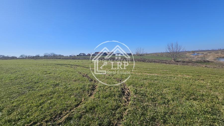 Loturi de Casa pe malul Lacului Creața, Dascălu – 460 mp + Drum servitute - 5