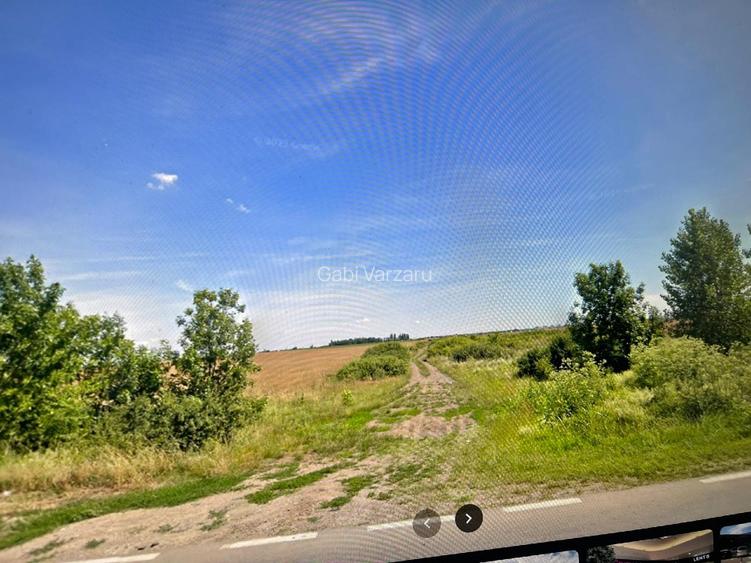 Teren Calea Torontalului/Aradului, PUZ ptr blocuri - 3