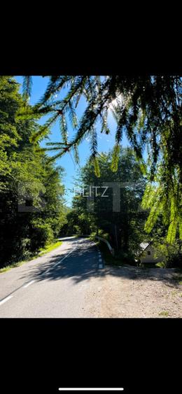 Cabana de vanzare Marisel - afacere la cheie! - 3