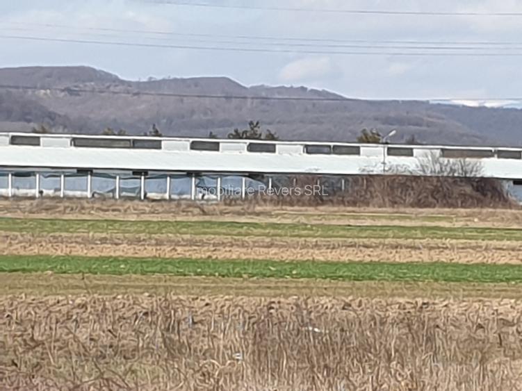 TEREN AGRICOL BABENI LANGA ABATOR LA PROVINCIA - pretabil ferma cu panour solare - 28