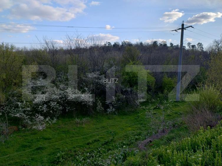 Teren padure 10 ha, extravilan, 400 ml deschidere, stradal, zona Breasta - 3