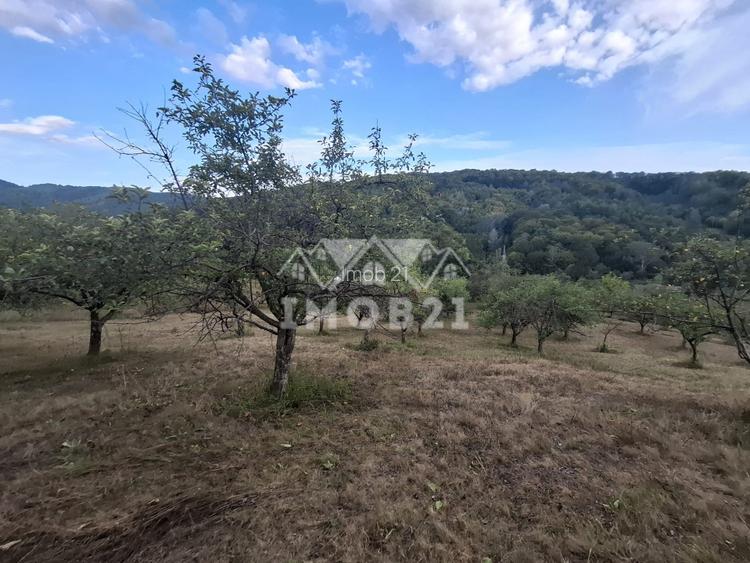 Teren spectaculos cu padure, livada si priveliste panoramica in Soimari PH - 11