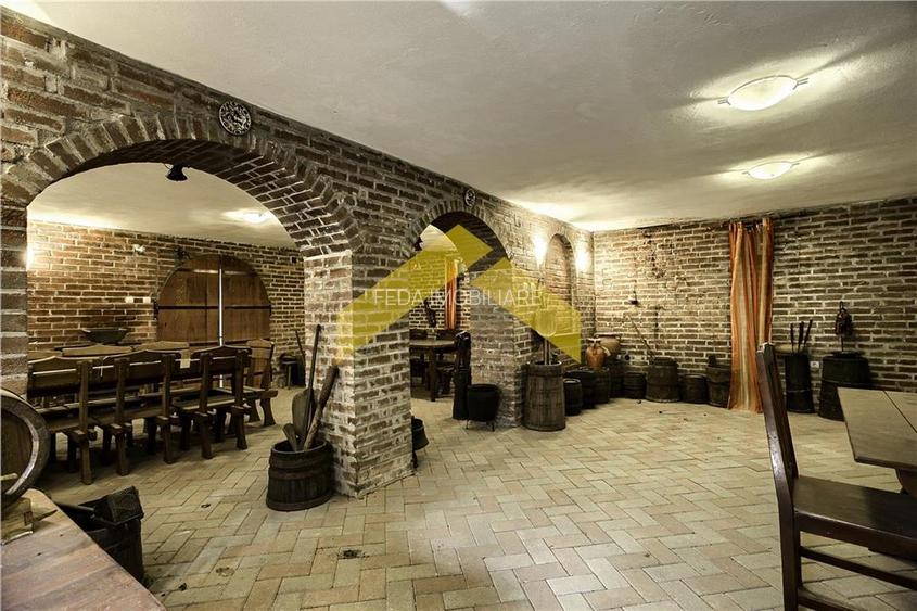 Casa 1000 mp si hala de vanzare Zadareni - 21