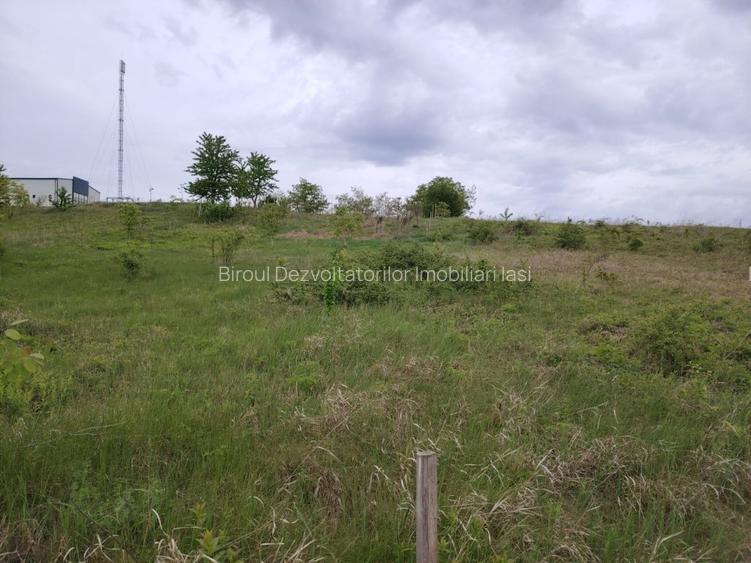 Teren intravilan 1800 mp, Centura-Ciurbesti-dubla deschidere - 2