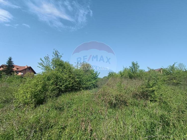 Vanzare Teren Constructii Langa Lac și Padure | Branesti | Ocazie! - 8