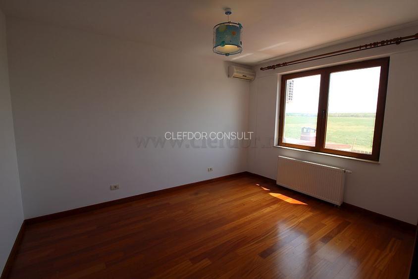 Vila renovata in apropiere de Iancu Nicolae - 13