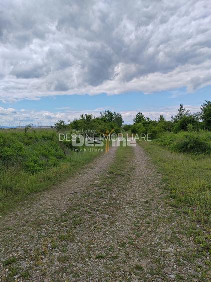 Teren extravilan, 114000 mp, Parc industrial West Park - 16