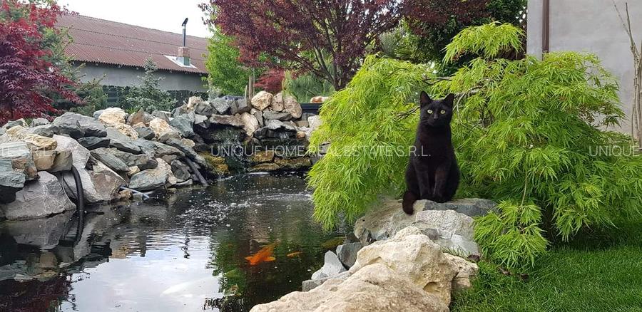 Varasti: Vila individuala cu o curte de 1000 mp ! - 12