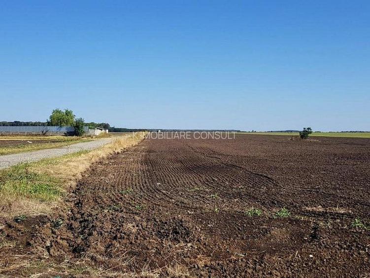 Teren intravilan de vânzare Brănești – DN3, deschidere 60 ml  investie - 7