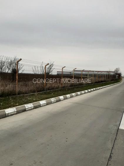 Teren, T7,  Domnesti, Zona industriala - 6