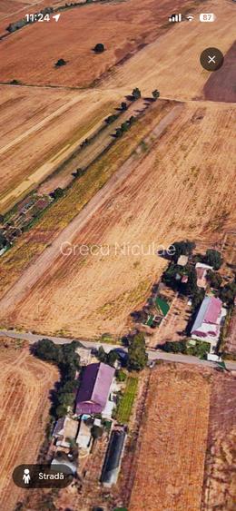 Vând teren intravilan – Crivăț, Călărași - 14