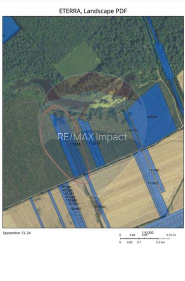 De vanzare teren Extravilan Snagov Padurea Snagov DJ 101B Ghermanesti - 2