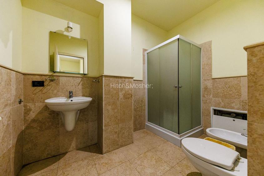 Asset investițional stabil – Clădire istorică în Timișoara - 15