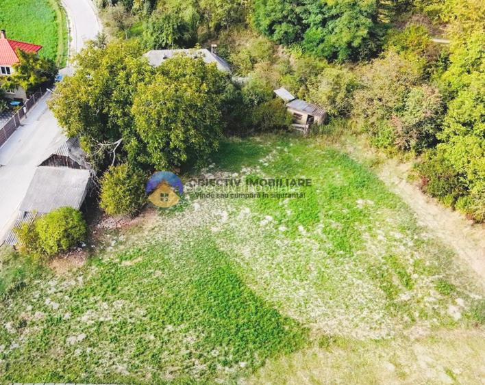 CASA + teren intravilan,  comuna BODESTI - 10