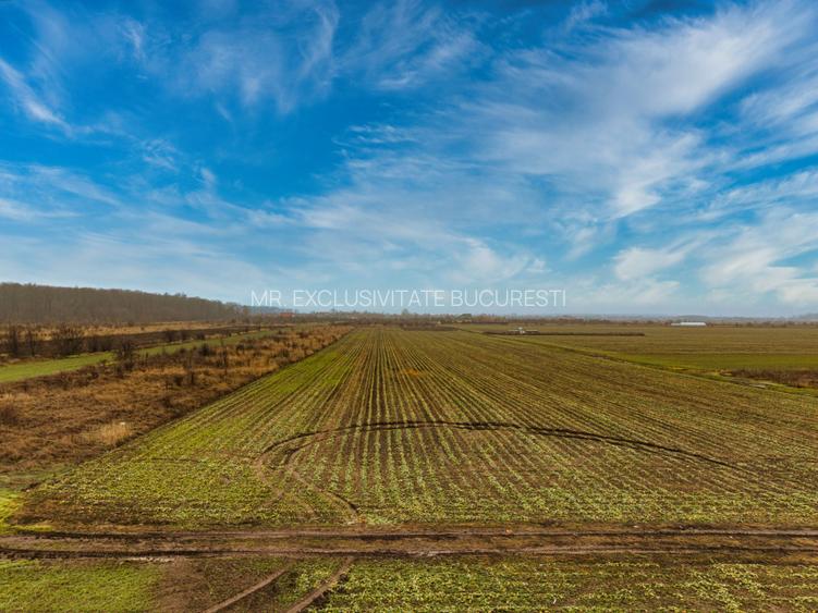 Teren intravilan 5040 mp, deschidere dubla - 2