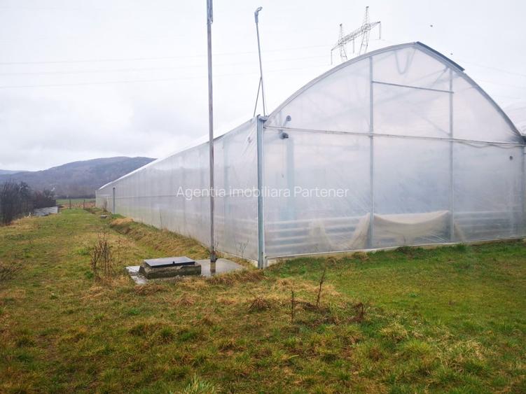 Teren 12.000mp + sera 3.000mp, Ciofrangeni-Arges - 2
