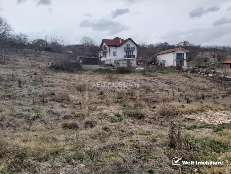 Teren de vanzare, 2864 mp, Dambul Rotund - 9