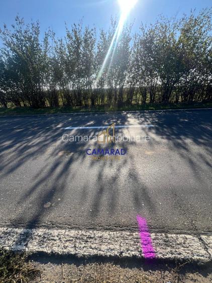Teren de vanzare- deschidere DN4 138 m  -  Budesti, sat Gruiu - Calarasi - 5