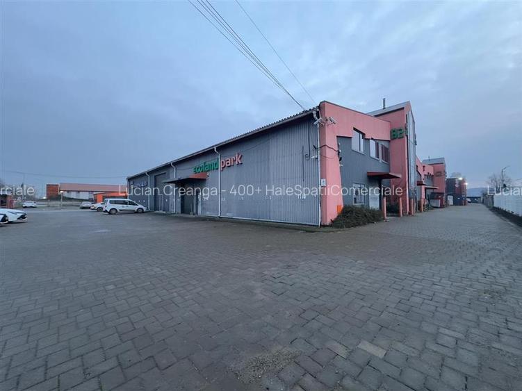 Hala, showroom birouri Pacurari rond Mall Moldova de la 40mp la 1000mp - 6