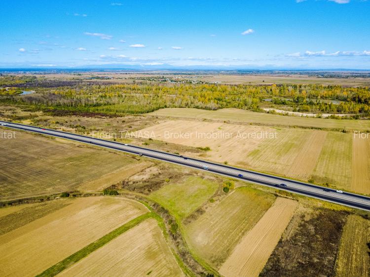 Terenuri industriale cu deschidere la A1, km 64 – Jugureni, Dambovita - 3