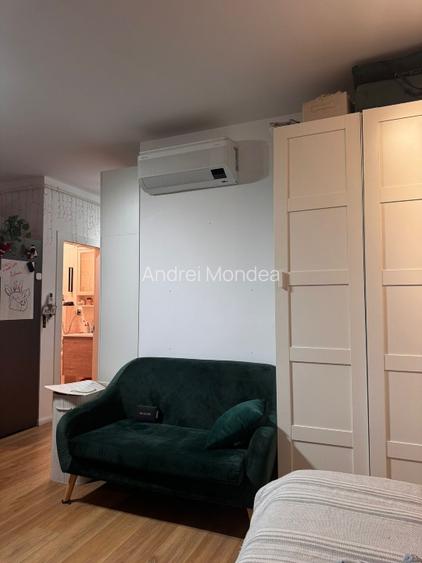 Studio special priveliste lac - 9