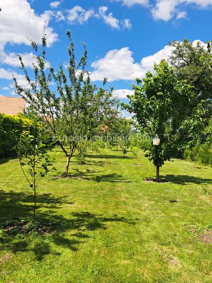 Casa individuala pe un singur nivel in Sibiu localitatea Cartisoara - 3